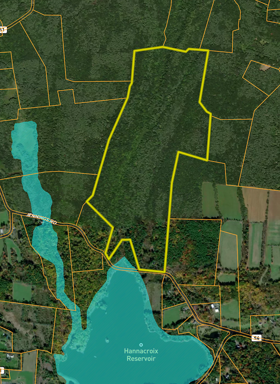 Greene Co 160 Odessa FEMA Floodplain map