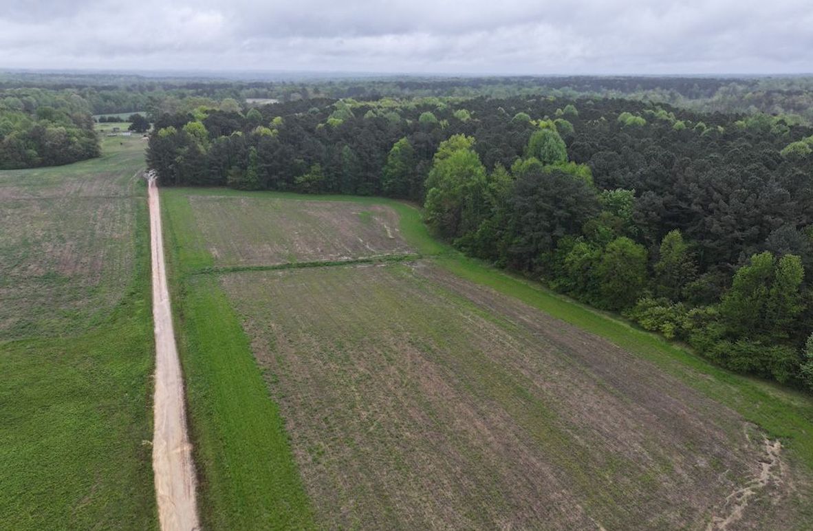 DJI_20250411111216_0028_D