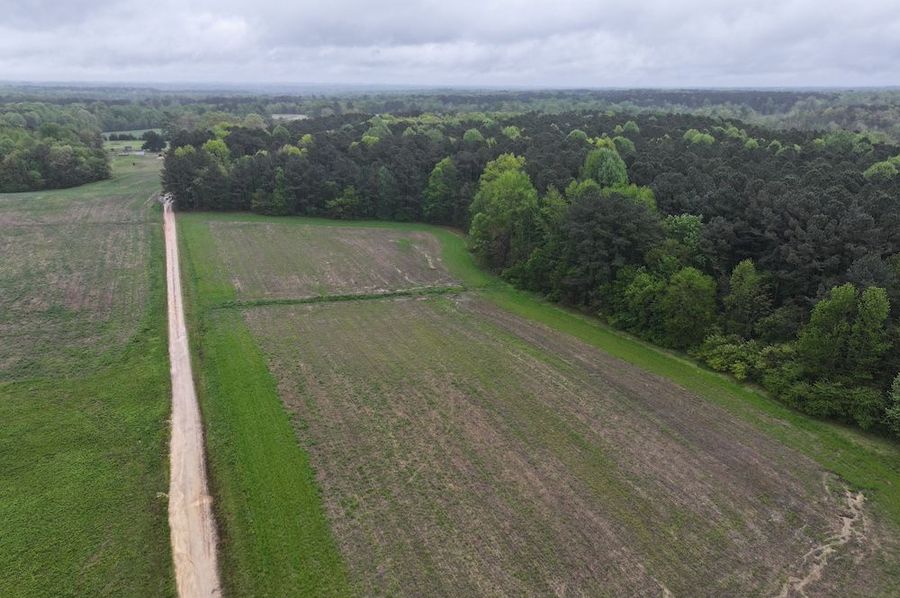 DJI_20250411111216_0028_D