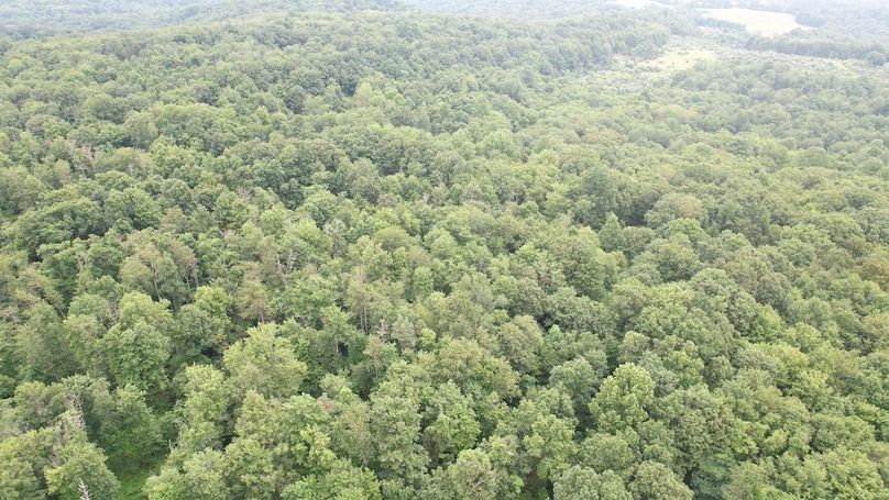 dji_fly_20250714_141516_444_1752537417128_photo