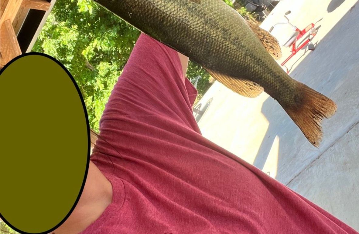 B41CF1D8-B203-4FC4-9FAB-497DF8ED02C9