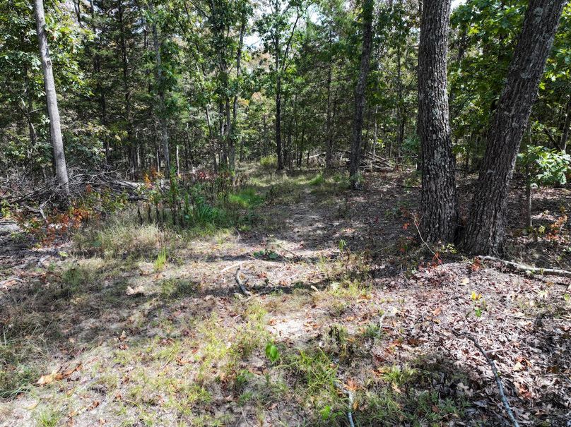 DJI_20250904124428_0580_D