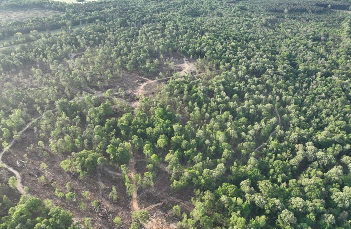 dji_fly_20260407_083056_341_1775580384894_photo