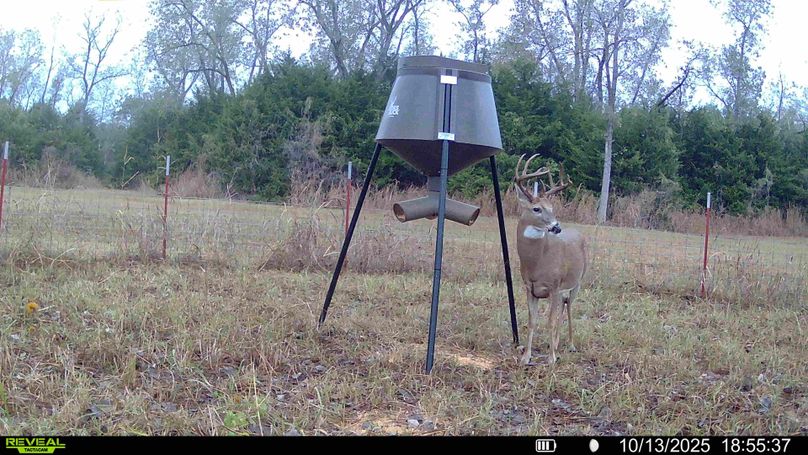 016687000322244-59-3-10132025185710-HD-SYFW00956