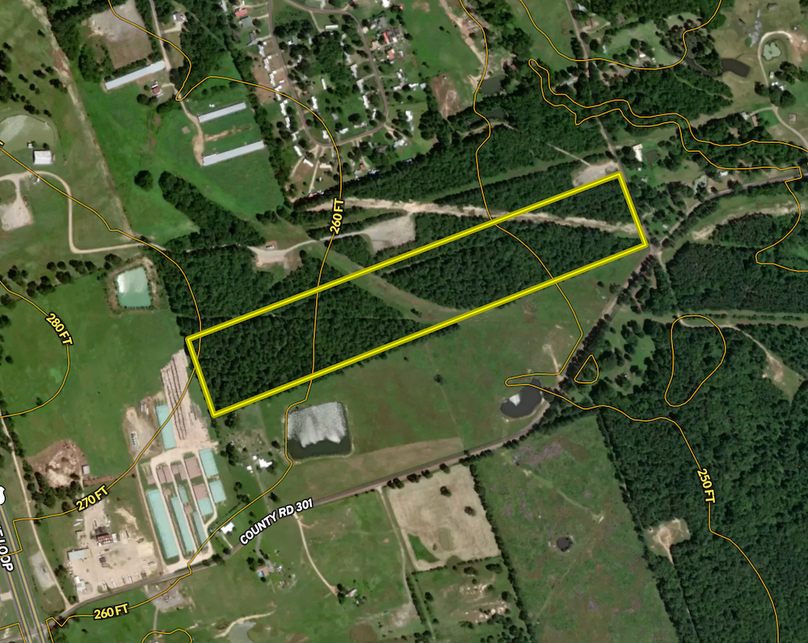 Screenshot 2025-07-15 at 9.13.49 AM