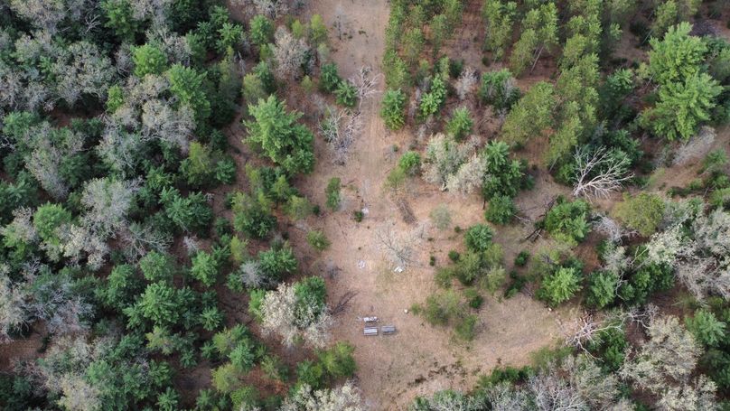 dji_fly_20230509_171704_405_1683724324153_photo_optimized