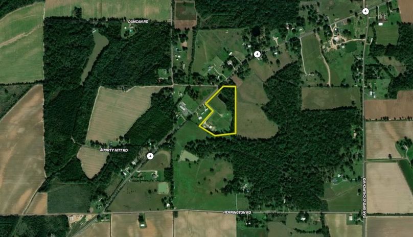 Screenshot 2025-08-11 at 8.54.17 AM