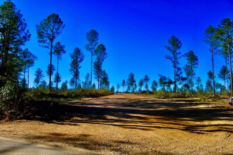 310D58A9-1A62-40C2-984D-3BC9840465F3_1_201_a