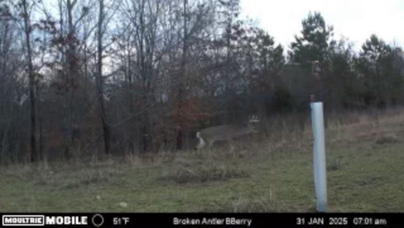 Benton 133.5 Trail Cam-07