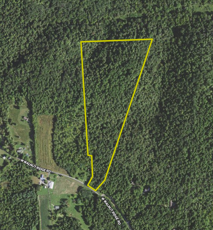 Screenshot 2024-05-15 at 8.06.16 AM