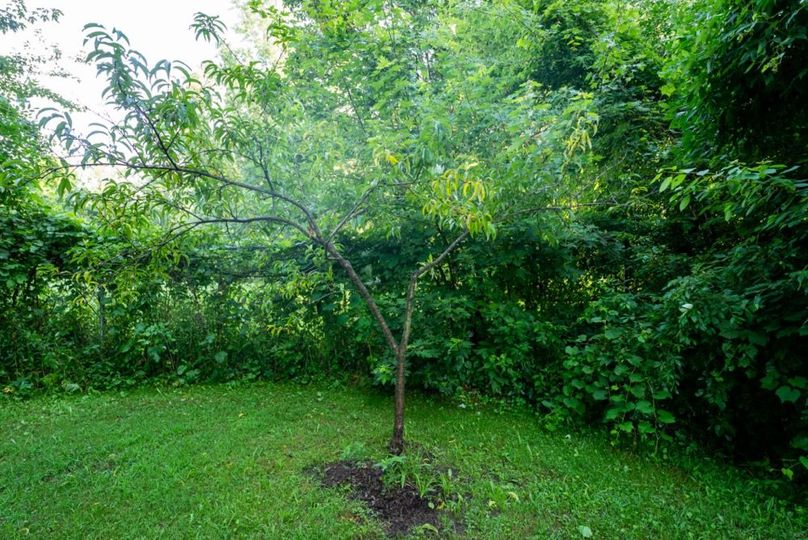 LivingstonMI41.75-154