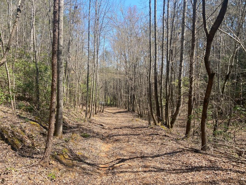 Cherokee 69.74 Stiles-03