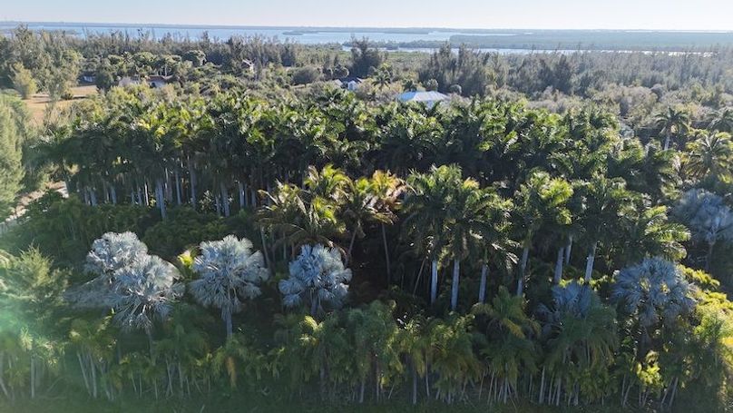 DJI_20260206085350_0226_D