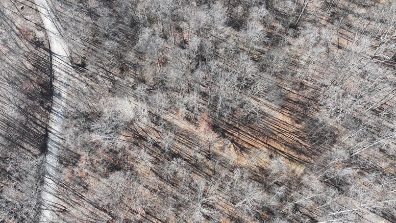 dji_fly_20231130_113932_0123_1701362511676_photo