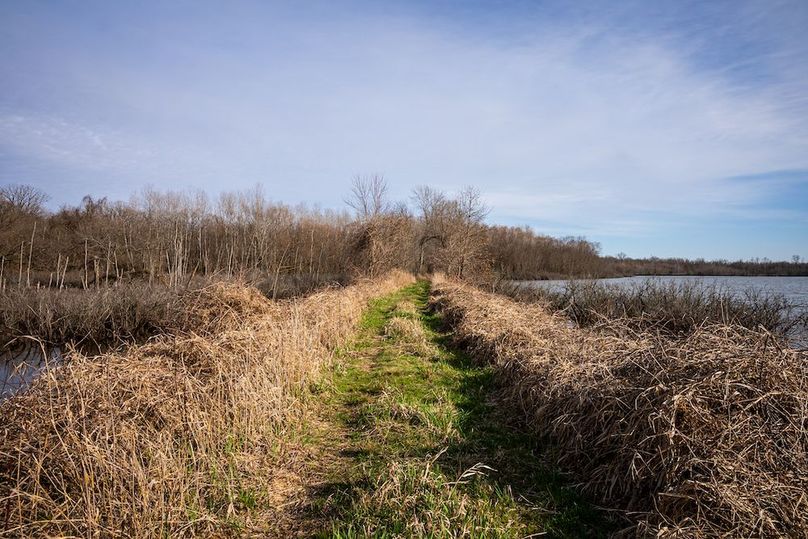 St Clair IL 263.95 Featured_Pro Photo-20