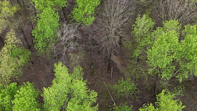 DJI_20260402002800_0187_D