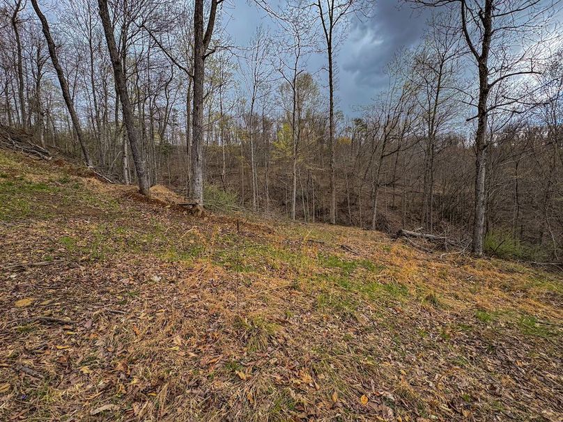 Wirt, WV 156.941 AC Full-07