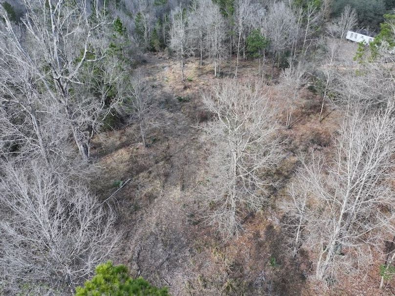 dji_fly_20260212_135926_0041_1771284249634_photo