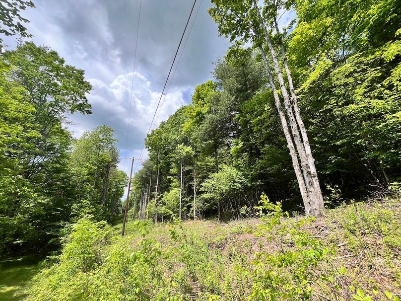 Tioga_78_Biada_Photos_81