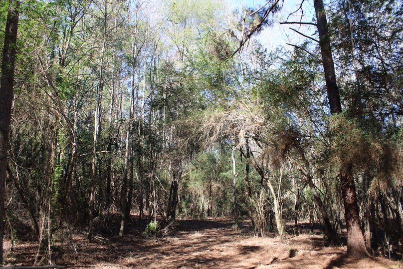 BB693E84-753D-4244-A7DB-1AB3A545E3FA_1_105_c