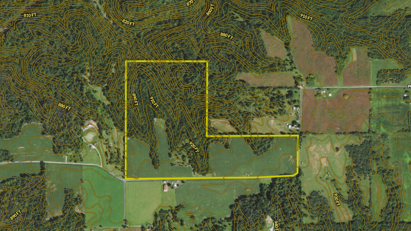 Screenshot 2024-10-23 080720