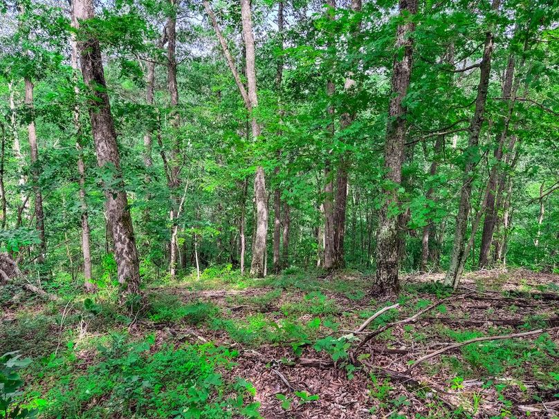 Wirt, WV 137.45 AC Full-51