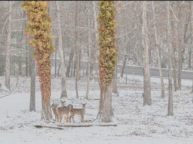 Screenshot 2024-03-28 at 5.07.15 PM