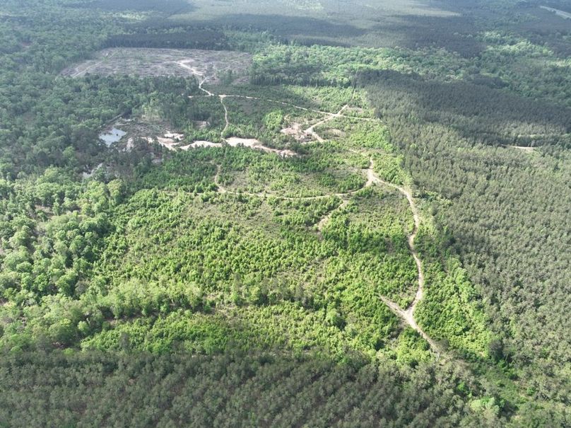 dji_fly_20260415_105054_384_1776345112197_photo