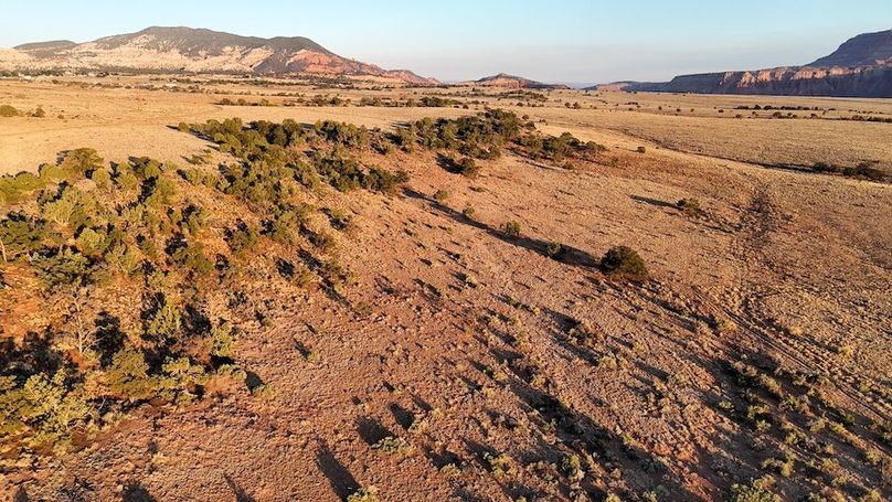 DJI_20250620063313_0047_D