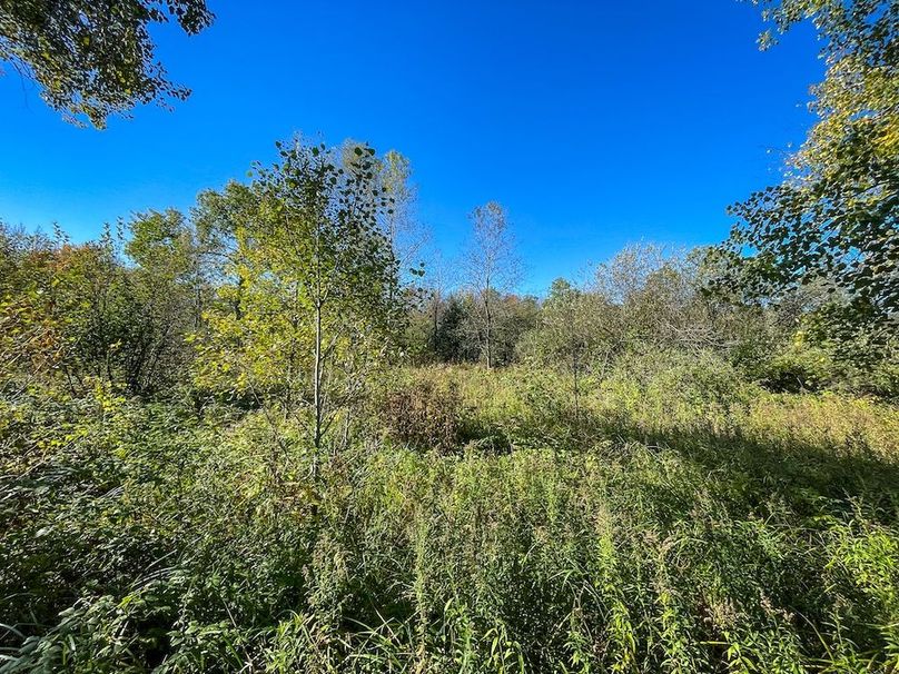 Wood 41.451, Collins -11