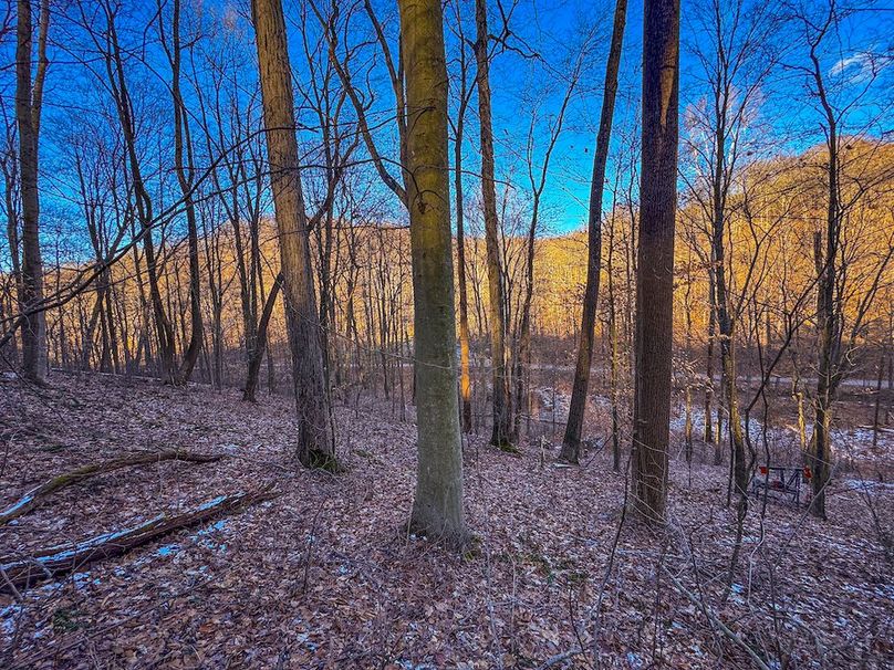 Pleasants, WV 81 AC Barron-16