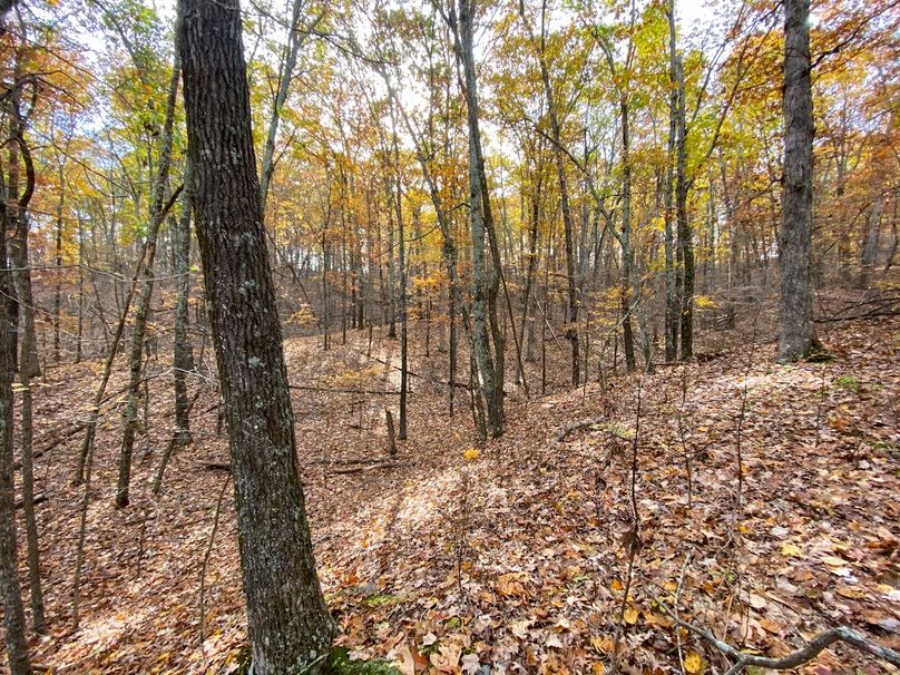 ReservoirHill_2019__ss_-23