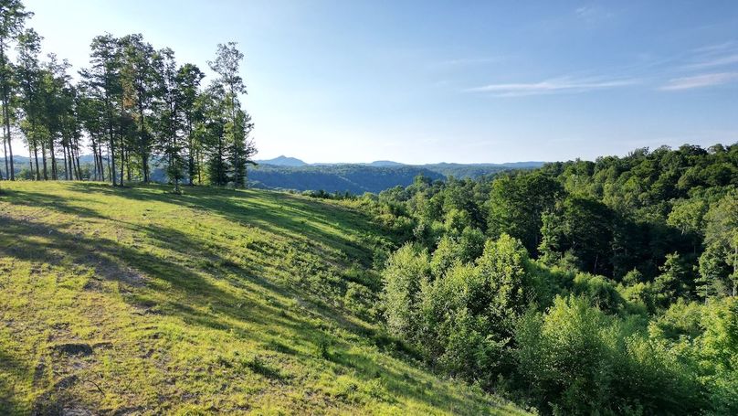 Copy of dji_fly_20240703_134604_525_1719964238407_photo