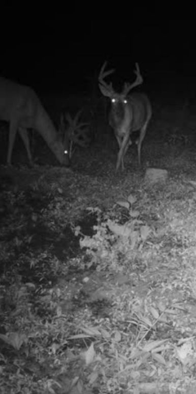 Screenshot_20230724_070511_Tactacam_REVEAL_37220081408144