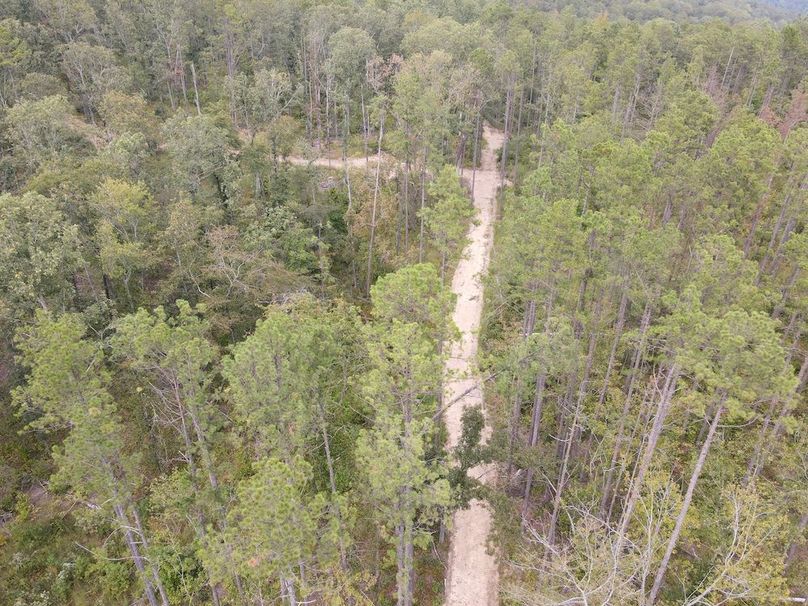 DJI_0699
