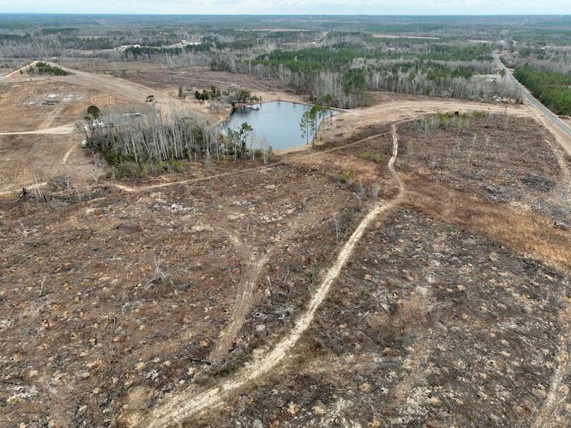 dji_fly_20260211_114300_306_1770828247390_photo