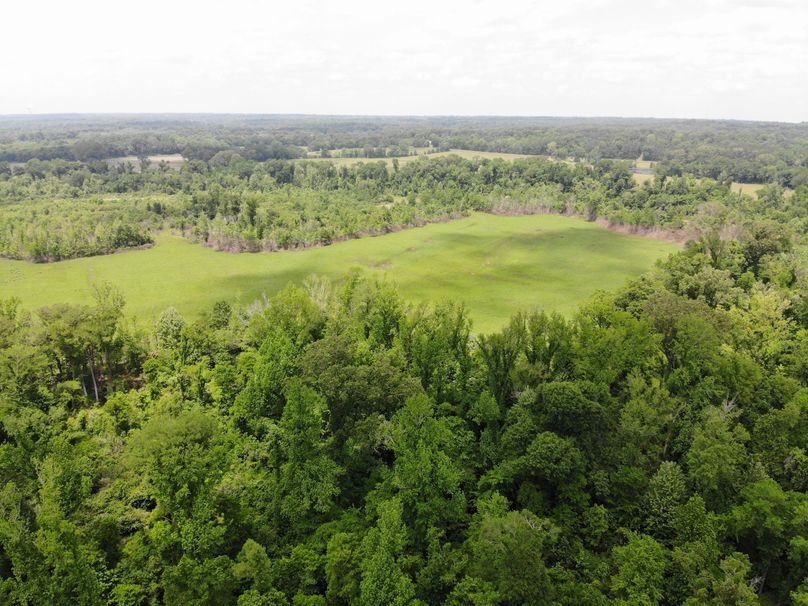 DJI_0545