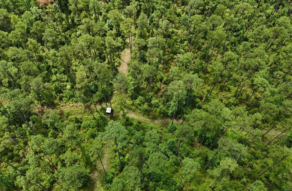 DJI_20250727011957_0528_D