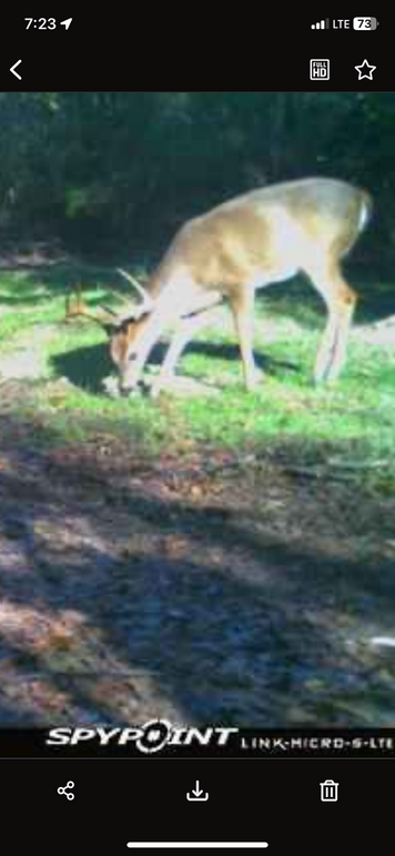 Trail Pic 10