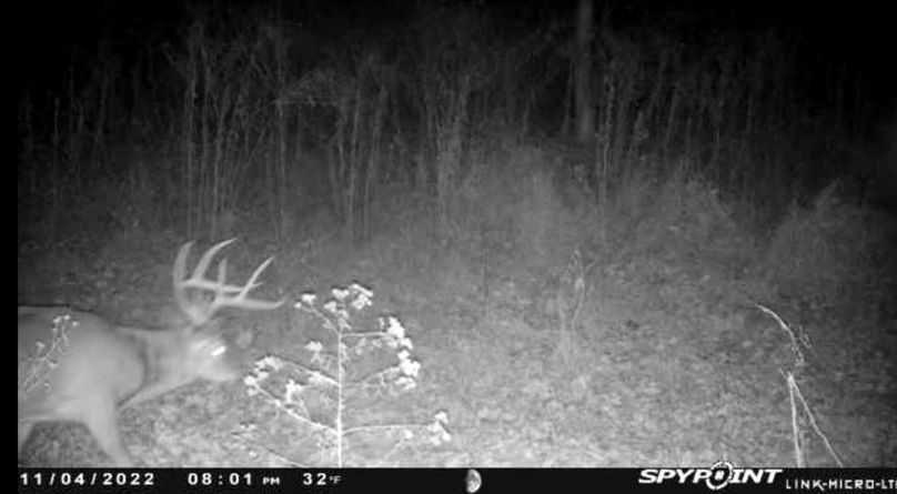 trail cam1