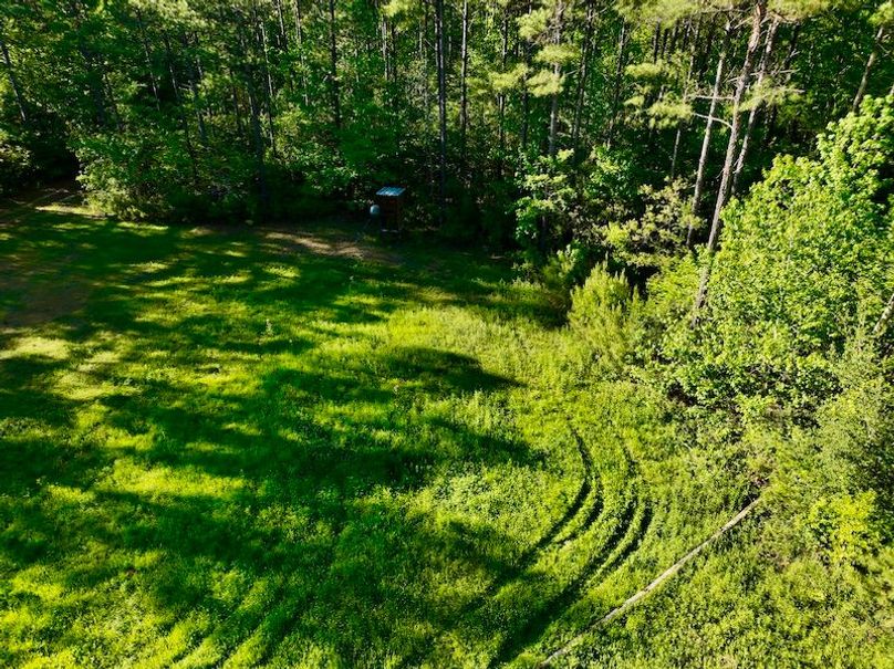 80B0AB64-DF07-45E1-A969-33590F2E7AD8_1_201_a