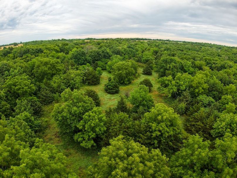DJI_20250630071734_0313_D
