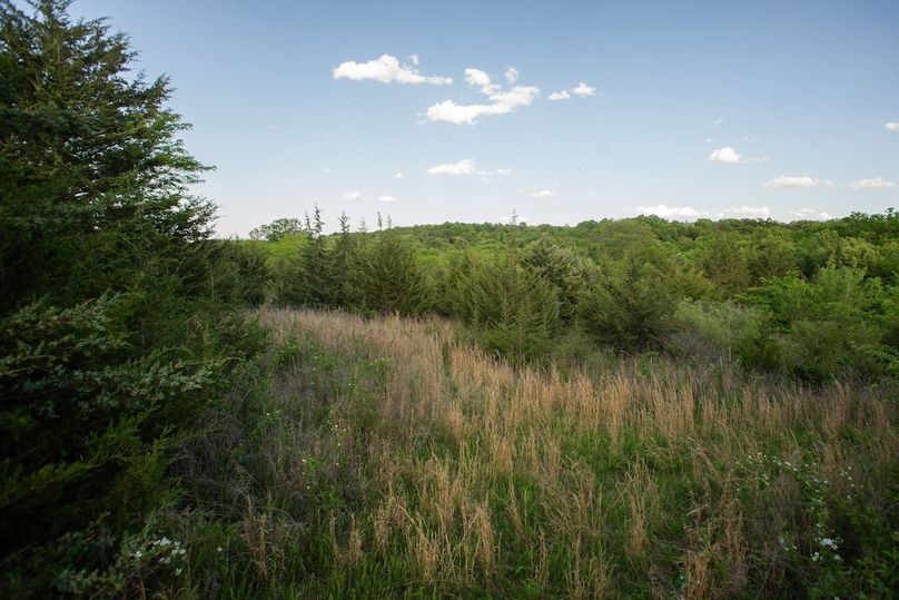 PAGE CO IA 130+_-_24