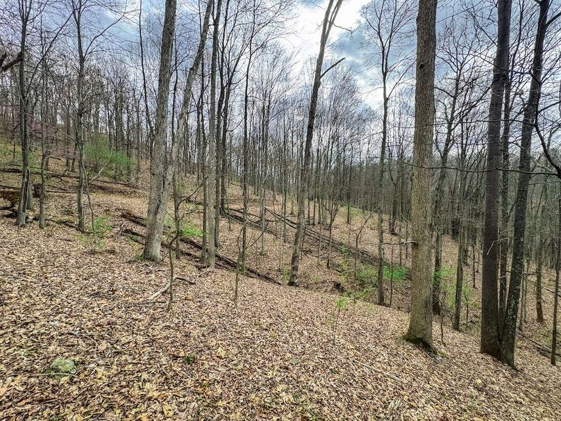 Ritchie, WV 206.08 AC Curriden-62