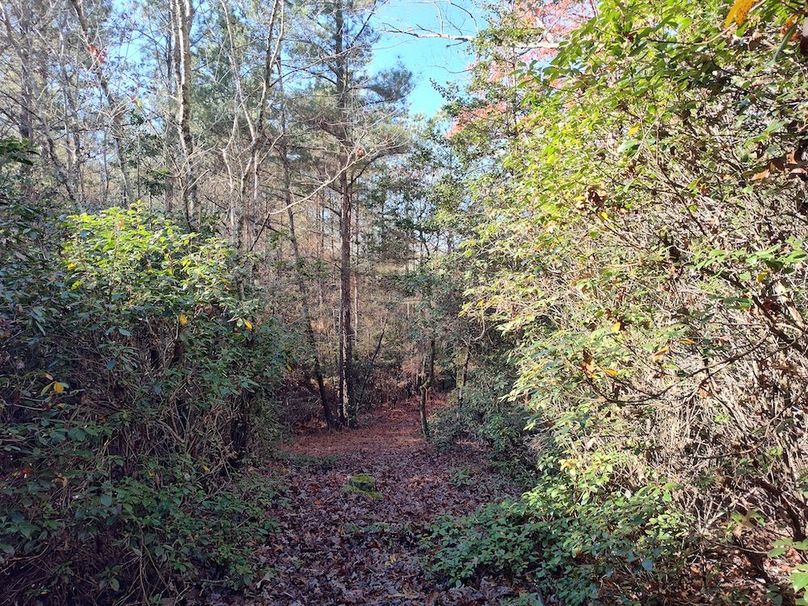 IMG_20251124_103256959_HDR