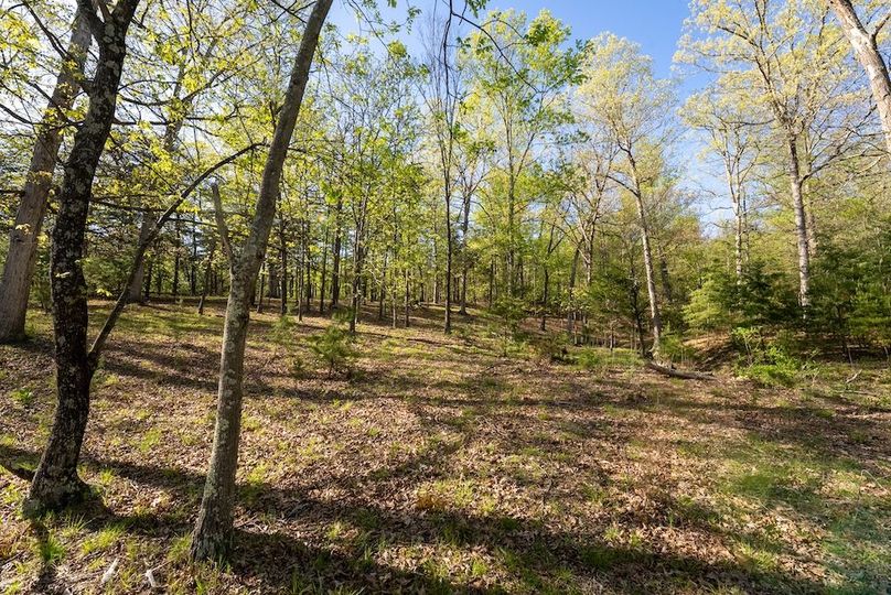 Hampshire WV 106 Featured_Pro Photo-31