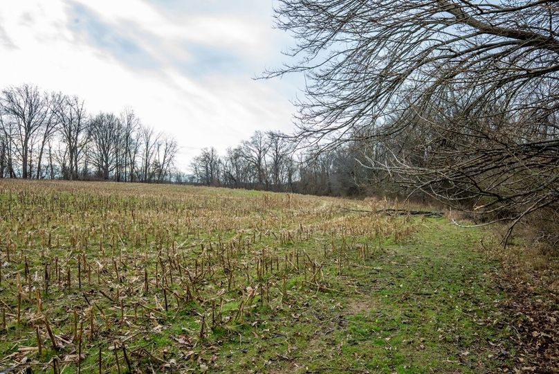 Copy of DSC00720 Large