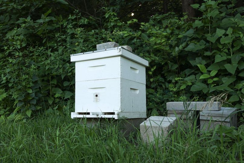 HARRISON CO. IA 24.85_56