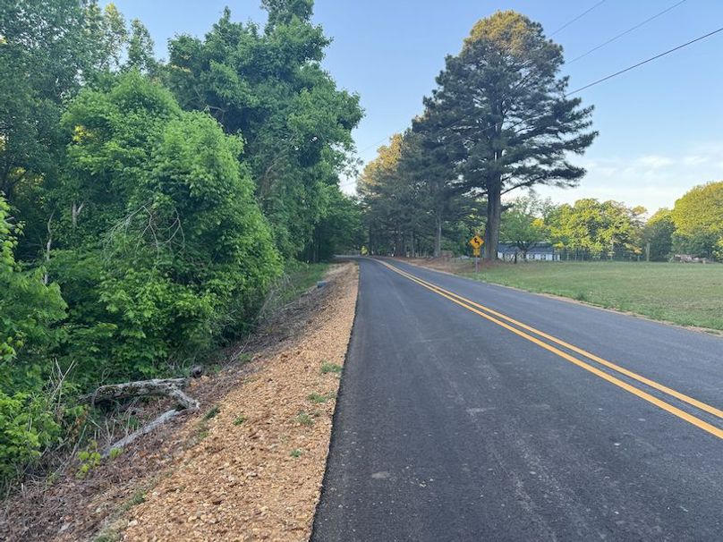 Desoto 8.3 Clement (Final Frontier) -5