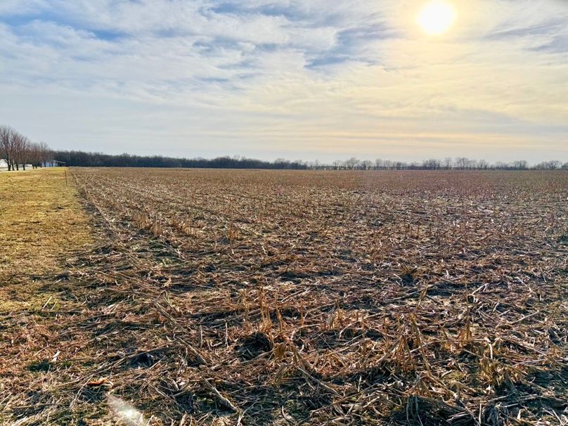 Copy of IMG_7173 Large